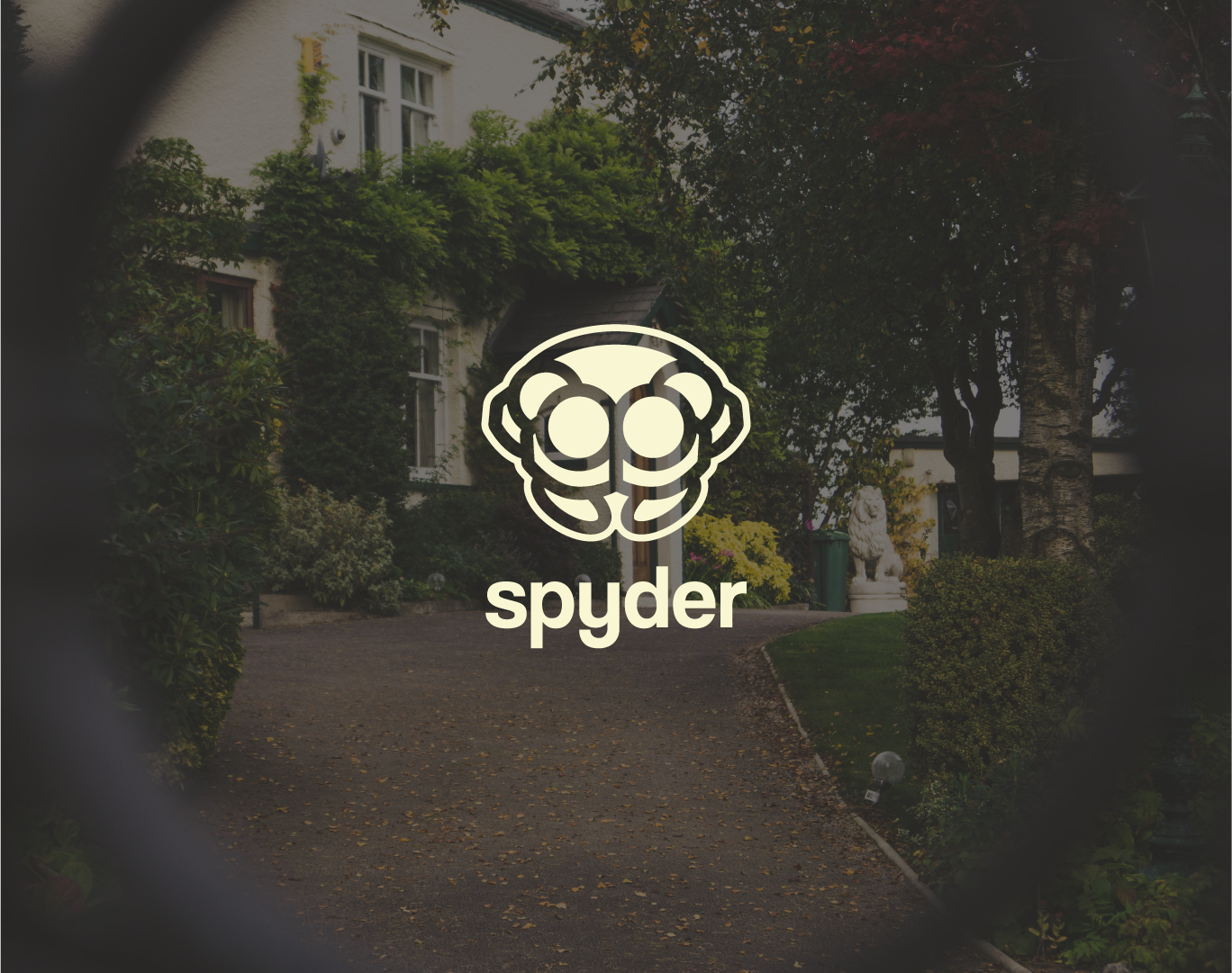 Spyder logo