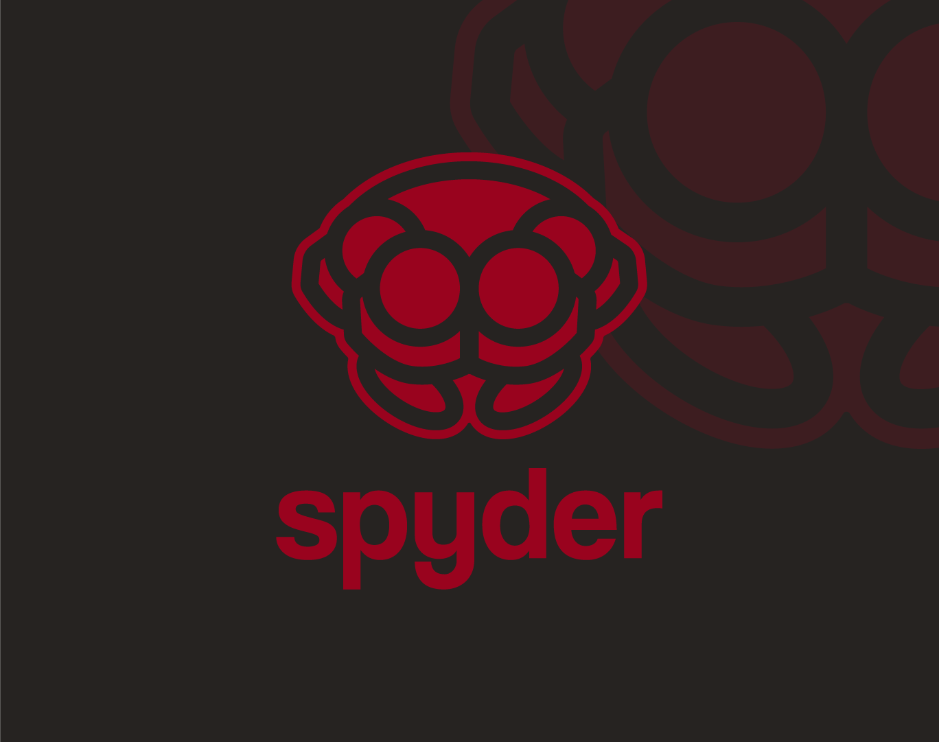 Logo Spyder Security